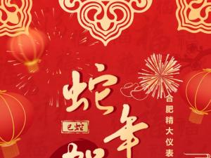 合肥精大儀表2025春節(jié)表彰暨聯(lián)歡會(huì)：回顧精彩，展望